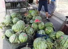 韩城网红事件吃瓜视频,吃瓜群众围观网络风云