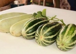 哪里可以吃网红瓜,探寻热门话题背后的美食之旅