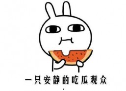 网络吃瓜事件,揭秘网络舆论的狂欢与反思