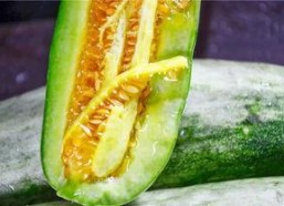 网红可以吃瓜了,揭秘娱乐圈幕后故事