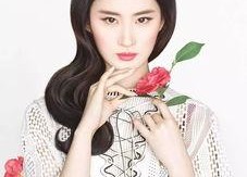 吃瓜娱乐说刘亦菲,娱乐圈的瓜田女王，美丽与智慧并存