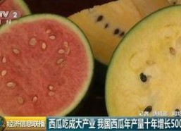 大楚网 吃瓜群众