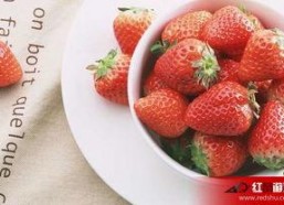 娱乐吃瓜酱草莓视频下载,娱乐吃瓜酱带你轻松获取热门娱乐内容