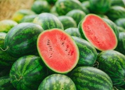 叮当视频网红吃瓜,揭秘娱乐圈幕后真相