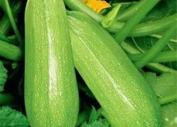 类似于吃瓜网,那些你不知道的内幕故事