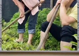 吃瓜群众娱乐八卦,吃瓜群众揭秘明星幕后故事